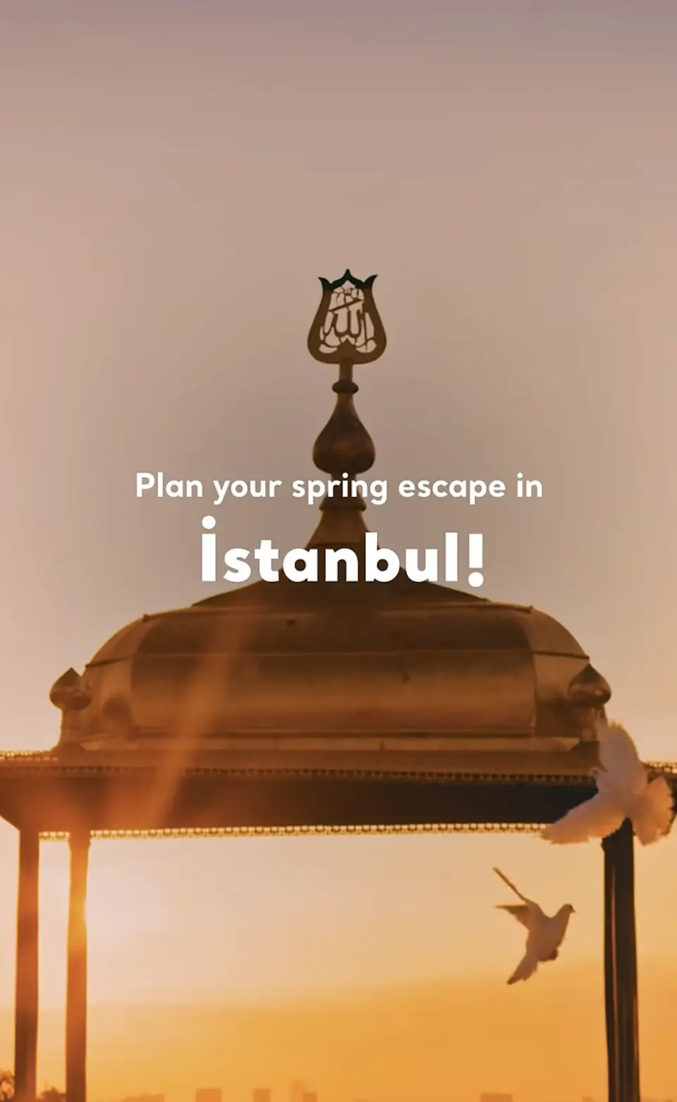 Experience the spring pulse of İstanbul.